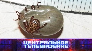 Выпуск от 20 мая 2023 года 20.05.2023