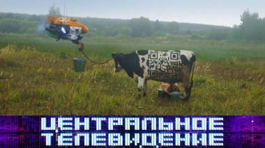 Выпуск от 28 ноября 2020 года 28.11.2020