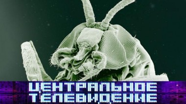 Выпуск от 29 мая 2021 года 29.05.2021