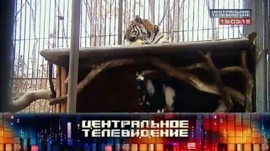 Выпуск от 12 декабря 2015 года 12.12.2015