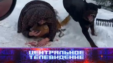 Выпуск от 15 марта 2025 года 15.03.2025