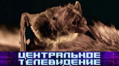 Выпуск от 2 мая 2020 года 02.05.2020