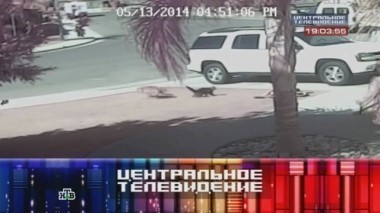 Выпуск от 24 мая 2014 года 24.05.2014