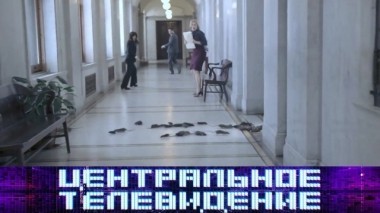 Выпуск от 24 ноября 2018 года 24.11.2018