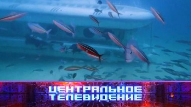 Выпуск от 29 марта 2025 года 29.03.2025