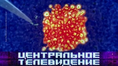 Выпуск от 6 октября 2018 года 06.10.2018