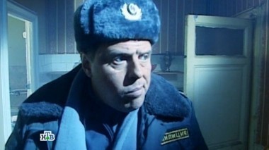 Кошки 30.08.2015