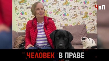 Смерть собаки-поводыря от троллейбуса, доставка с домогательством и безнаказанность водителей фур 14.09.2024