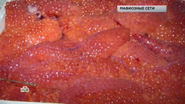 «Мафиозные сети» 21.10.2022