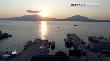 «Не вкурили?» 10.02.2022