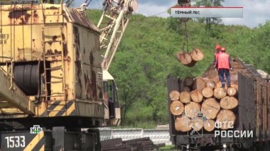 «Темный лес» 08.10.2020