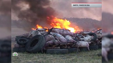 «Вирус. Made in USA» 04.02.2021