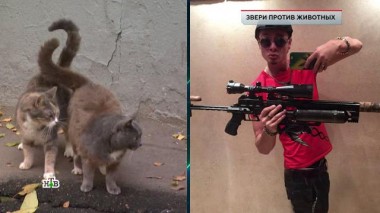 «Звери против животных» 25.11.2022