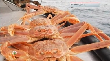 Рыбовладельцы 28.12.2018