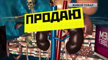 «Живой товар» 08.11.2025