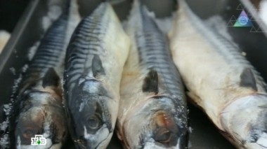 Атаки вирусов, копченые продукты и освежители воздуха 25.01.2014