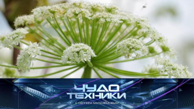 Борьба с борщевиком, все о грузовелах и проверка универсального пароочистителя 05.09.2025