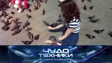 Борьба с голубями, опасные офисные кресла, суперфильтр для воды и игрушечное оружие 01.10.2017