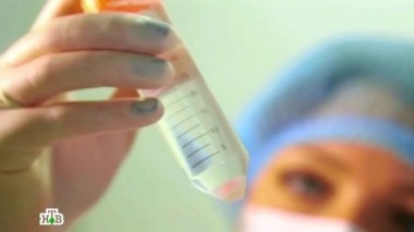 Борьба с морщинами, экономия электричества, разморозка продуктов, навигаторы для грибников 20.09.2014