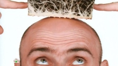 Целебные ростки, экономные лампы, изобретатели, которые смогли удивить 16.05.2015