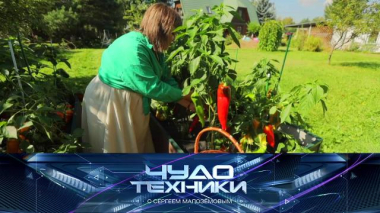Чипирование и польза микросхем под кожей, урожай с высоких грядок и расческа от секущихся волос 12.06.2026