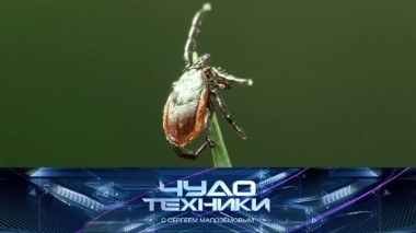 Что делать при укусах клещей, почему падают балконы и тест многофункционального чудо-пекаря 22.09.2018