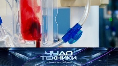 Что нужно знать о крови, чем хороша японская мочалка и как создать спальную зону в однушке? 18.02.2018