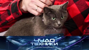 Корм, снижающий аллергенность кошек, а также &mdash; тест ножеточек 20.03.2021