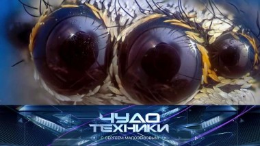 Мир под микроскопом, уловки ремонтных мастерских и «умный» видеодомофон 25.09.2021