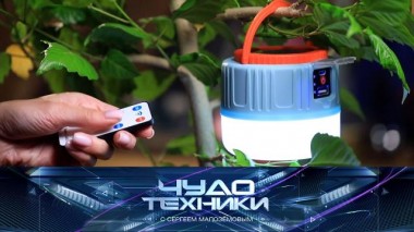 Походные приспособления, суперспособности от предков и тест автоматического кошачьего туалета 01.09.2023