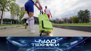 Сумка-тележка для сохранности продуктов и зонт с фонариком против шторма 06.10.2023