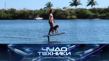 Водное развлечение на миллион, средства для мытья продуктов и кинезиотейпы 19.06.2021