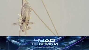 Эффективная борьба с педикулезом, выбор средства для мытья посуды и робот-уборщик, созданный в Якутии 23.11.2019