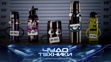 Эксперимент с медитацией, бактерии и грибки в термосах и сканер цвета 04.11.2023