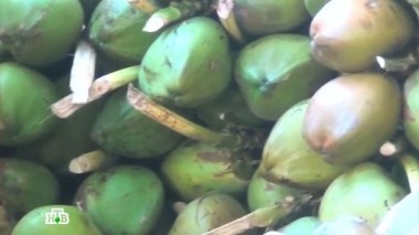 Фрукты вне сезона, современные вездеходы, синтетические ботинки и гаджеты для отдыха 25.04.2015