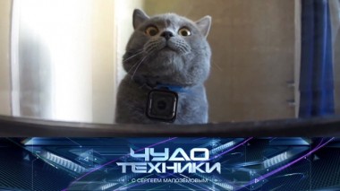 Гаджеты для домашних животных, выбор коньков и нательный обогреватель 29.01.2020