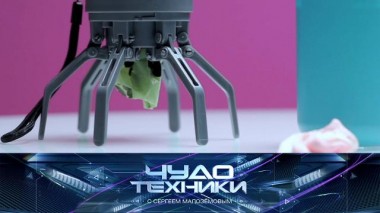 Гаджеты для выгула питомцев, выбор мыла и тест бутылки для воды с ароматизаторами 29.03.2025