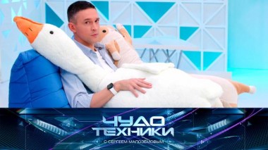 Гуси-обнимуси, стоматология во сне и тест терморегулятора 16.12.2023