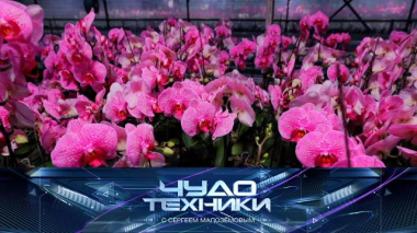 Клонирование орхидей, современные настольные игры и электрочистка для рыбы 06.03.2026