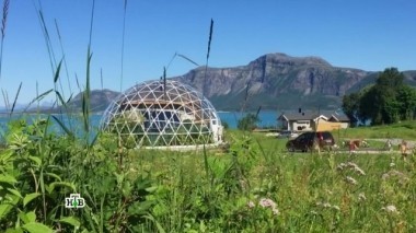 Лучшие материалы для парников, вся правда об эпиляции, умный рабочий стол и мобильный тепловизор 20.05.2017