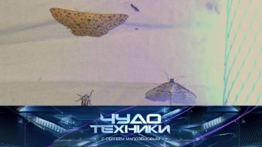 Лучшие средства от моли, выбор качественных батареек и патчи от отеков под глазами 22.03.2019