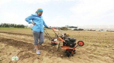 Мотоблок против культиватора, сверхвозможности техники, сезонная аллергия, правила хранения шубы 21.06.2015