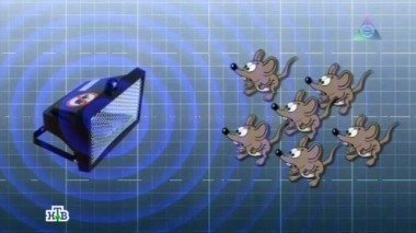 Мышка в мышеловке, как спастись от облысения и беспроводной пылесос 05.10.2013