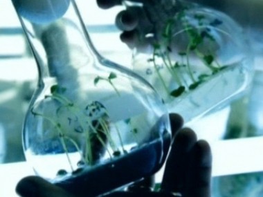 Огород будущего, электронная сигарета и непривычные 3D-телевизоры 17.02.2013