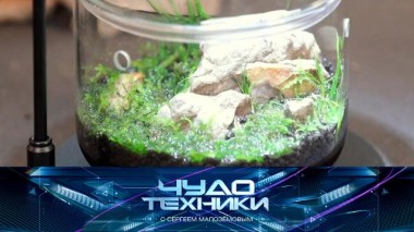 Оригинальное размещение домашних растений, реалистичные медицинские манекены и тест суперэкономичного обогревателя 25.11.2023