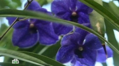 Подарки к 8 Марта, умные вещи, свежие гаджеты 07.03.2015