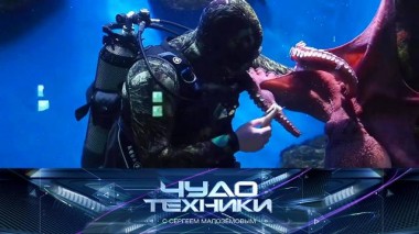 Устройство «умных» аквариумов и медузиумов, новая угроза от клещей и проверка универсальной электрощетки 18.05.2024