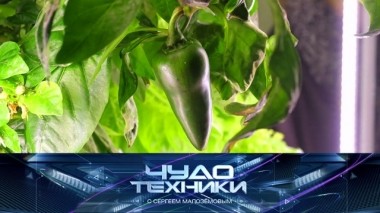 Вертикальные фермы, тест фитнес-браслетов и автоматический лоток для кошек 07.09.2019