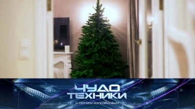 Выбор новогодней елки, опасность гирлянд и тест мультирезки 21.12.2019