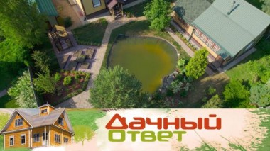 Сад любви с лесными растениями и прудом вместо ямы с водой 03.07.2021